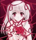 Ribbons & Roses