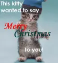merry christmas kitty