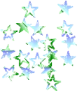 Stars5