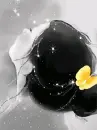BUTTERFLY IN MY HAIR