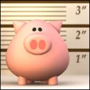 pig bring a one rose