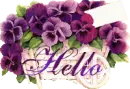 Hello
