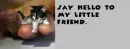 little frinds