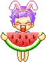 Watermelon Eat