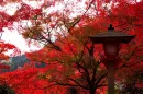 Kyoto, Japan