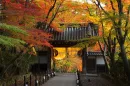 Kyoto, Japan