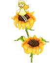 sun flower faery