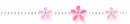 pink flowers