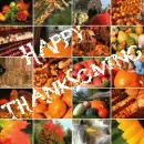 Thanksgiving1