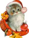 xmas-