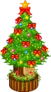 little Christmas tree
