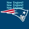 PATRIOTS! PATRIOTS!