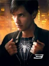 SPIDER MAN