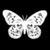 pink blinking butterfly