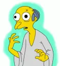 WTF!!?? mr. burns