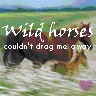 Wild Horses