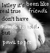 Real Friends