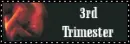 3rd trimester