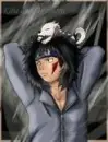 kiba in rain
