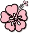 PINK HAWAII
