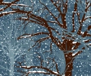 WINTER ON TREE