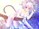 Devious cat girl
