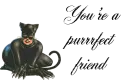 Purrrfect Friend