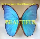 Beautiful Butt-ER-Fly