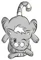 Cat blinking