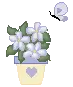 Purple Potted Flowers