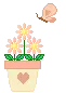 Peachy-Orange Flowers
