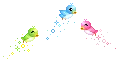 little colorful birds