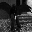 Boy with wings