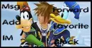 Goofy Sora Donald