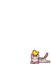 Cat and Chick