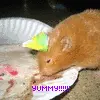 Yummy! Pizza!