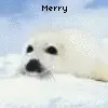 Merry Christmas!