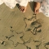 on the beach