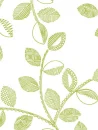 GREEN NATURE