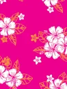 PINK HIBISCUS 