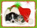Sparkle Santa Hat with Cat and Dog