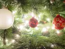 Christmas Tree Lights