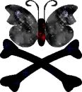 Butterfly Skull