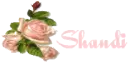 Shandi