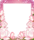 pink roses frame