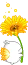 yellow flower
