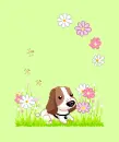 little puppy