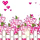pink flowers