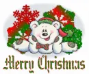 Winter Bear