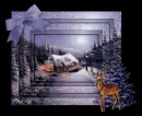 Winter Snow